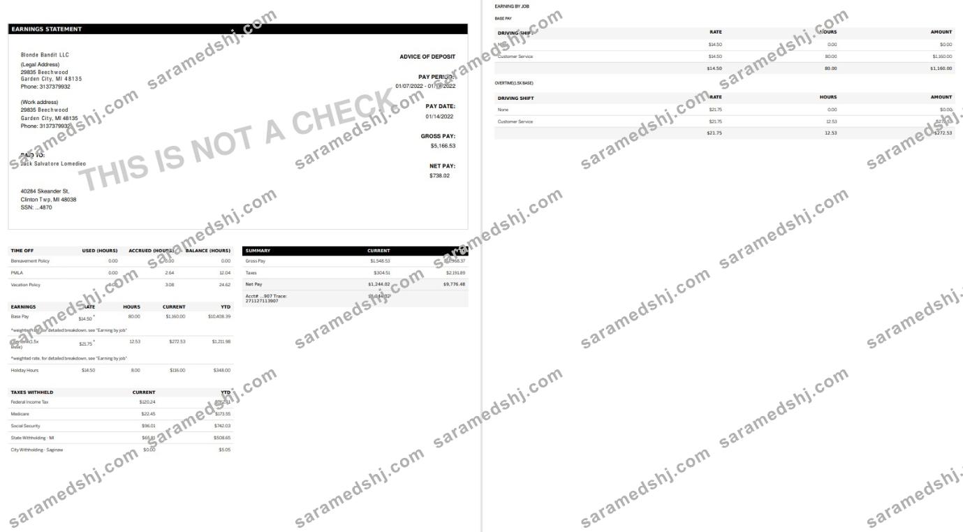 GOLDEN LIMOUSINE pay stub in PDF and Words format